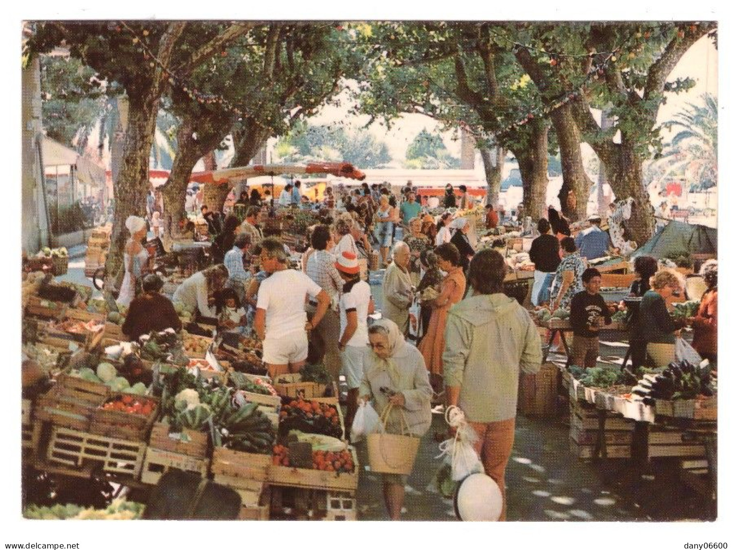 BANDOL Son Marché Pittoresque (carte Photo Animée) - Bandol