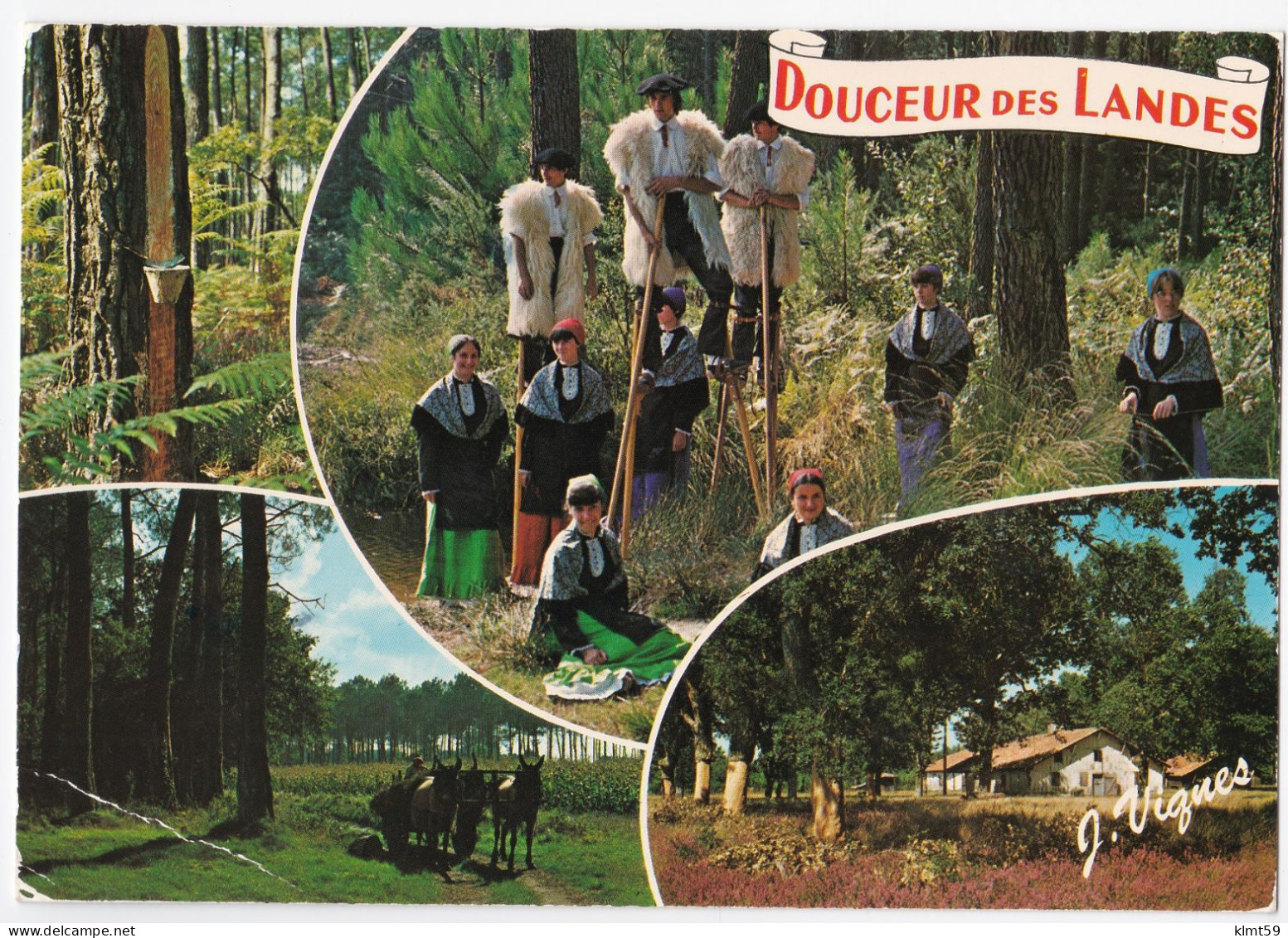 Douceur Des Landes - Andere & Zonder Classificatie