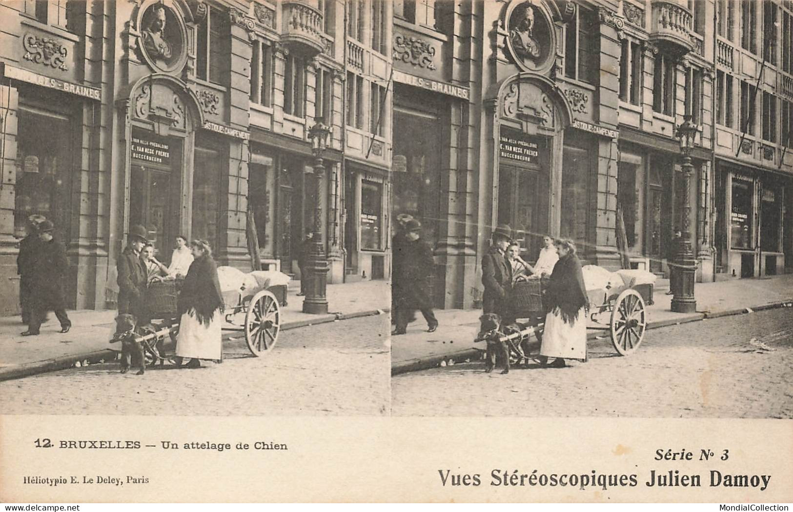 MIKIBP12-002- BELGIQUE BRUXELLES VOITURE A CHIEN - Autres & Non Classés