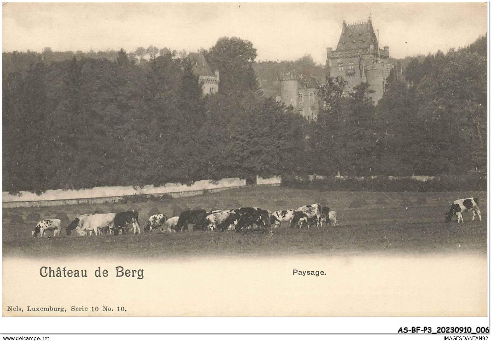 AS#BFP3-0970 - Luxembourg - NELS - Château De Berg - Paysage - Autres & Non Classés