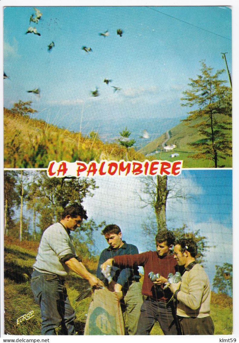 Les Palombières Du Col D'Osquich - Otros & Sin Clasificación