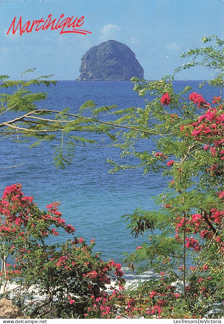 FRANCE - Martinique - Vue Sur Le Rocher Du Diamant - Vue Sur La Mer - Carte Postale - Fort De France