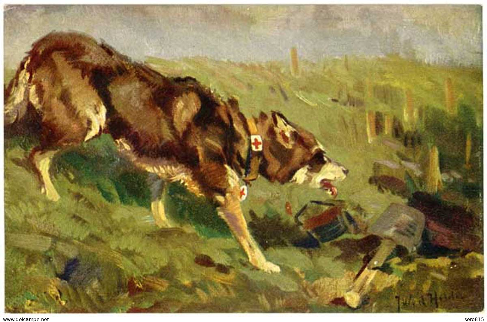 AK Hund Sanitätshund Im Felde Wohlfahrtskarte Malerei Signiert   (2932 - Altri & Non Classificati