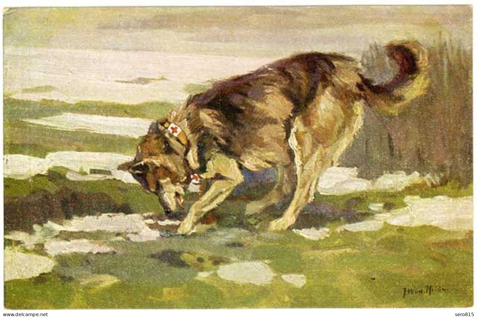 AK Hund Sanitätshund Im Felde Wohlfahrtskarte Malerei Signiert   (2931 - Andere & Zonder Classificatie