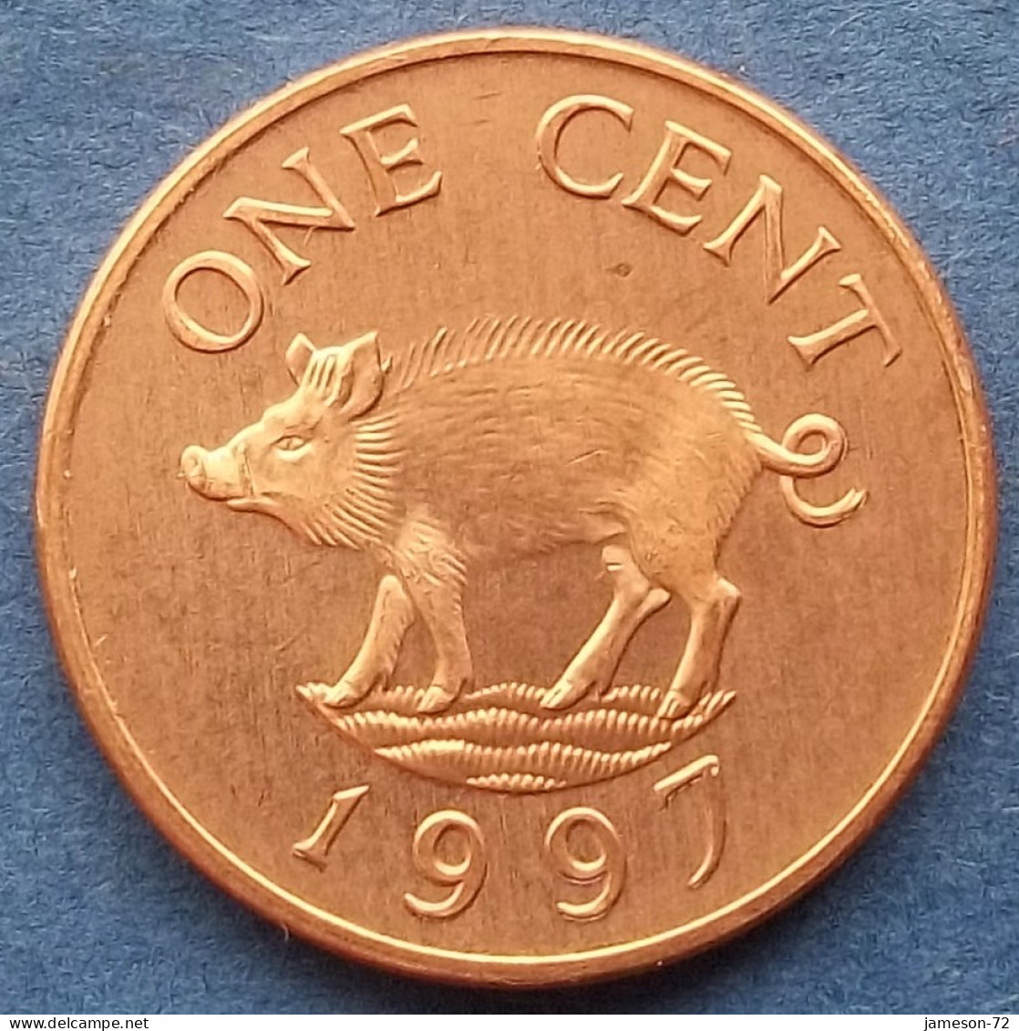 BERMUDA - 1 Cent 1997 "Wild Boar" KM# 44b Elizabeth II Decimal Coinage (1970-2022) - Edelweiss Coins - Bermudas