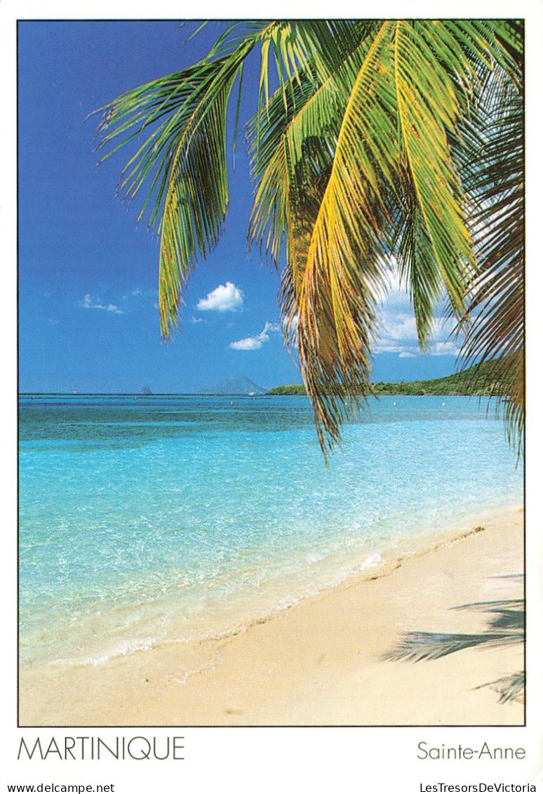 FRANCE - Martinique - Sainte Anne - Animé - Vue Sur La Plage - Palmier - La Mer - Carte Postale - Autres & Non Classés