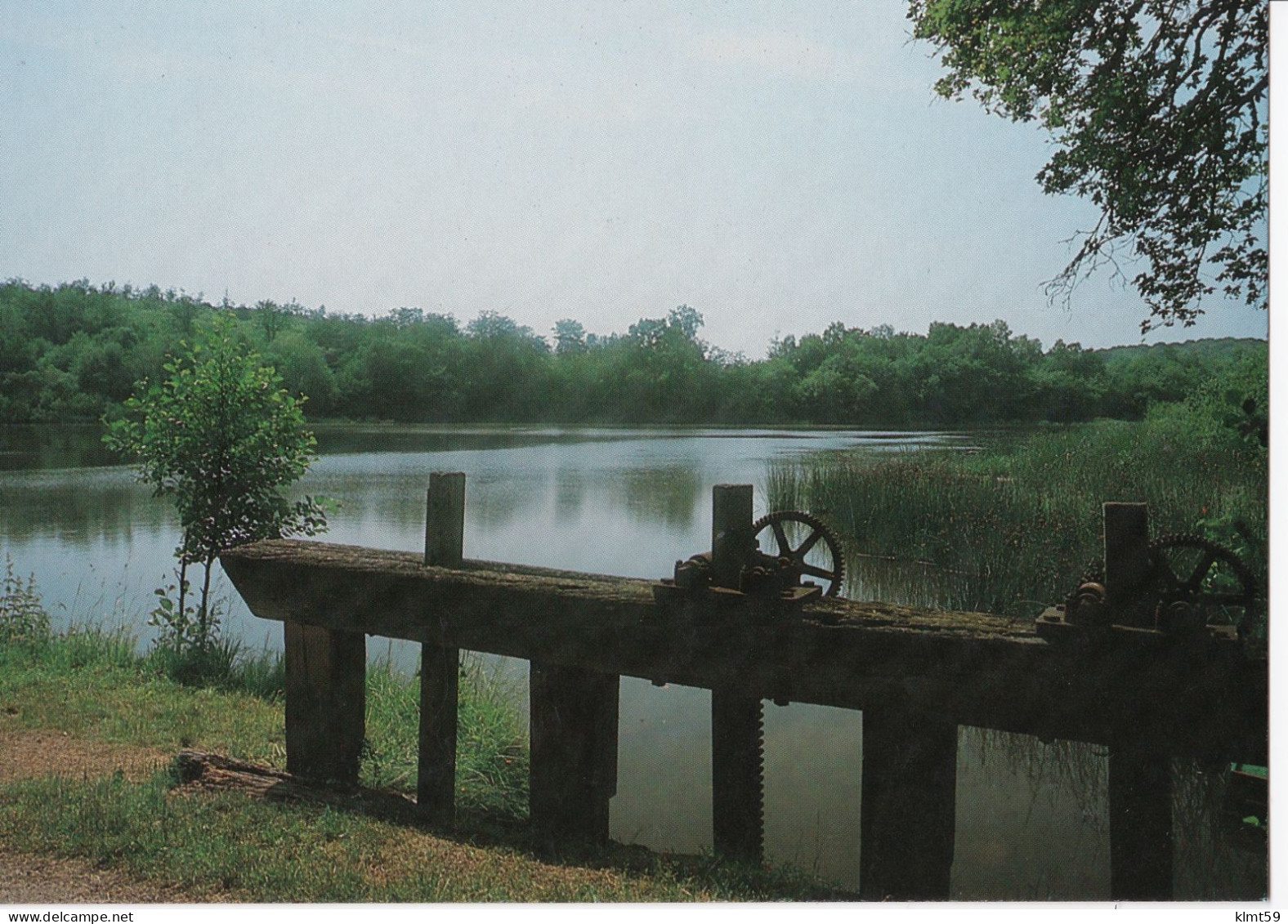 Saint-Saulge - L'Etang Du Moulin Neuf - Sonstige & Ohne Zuordnung