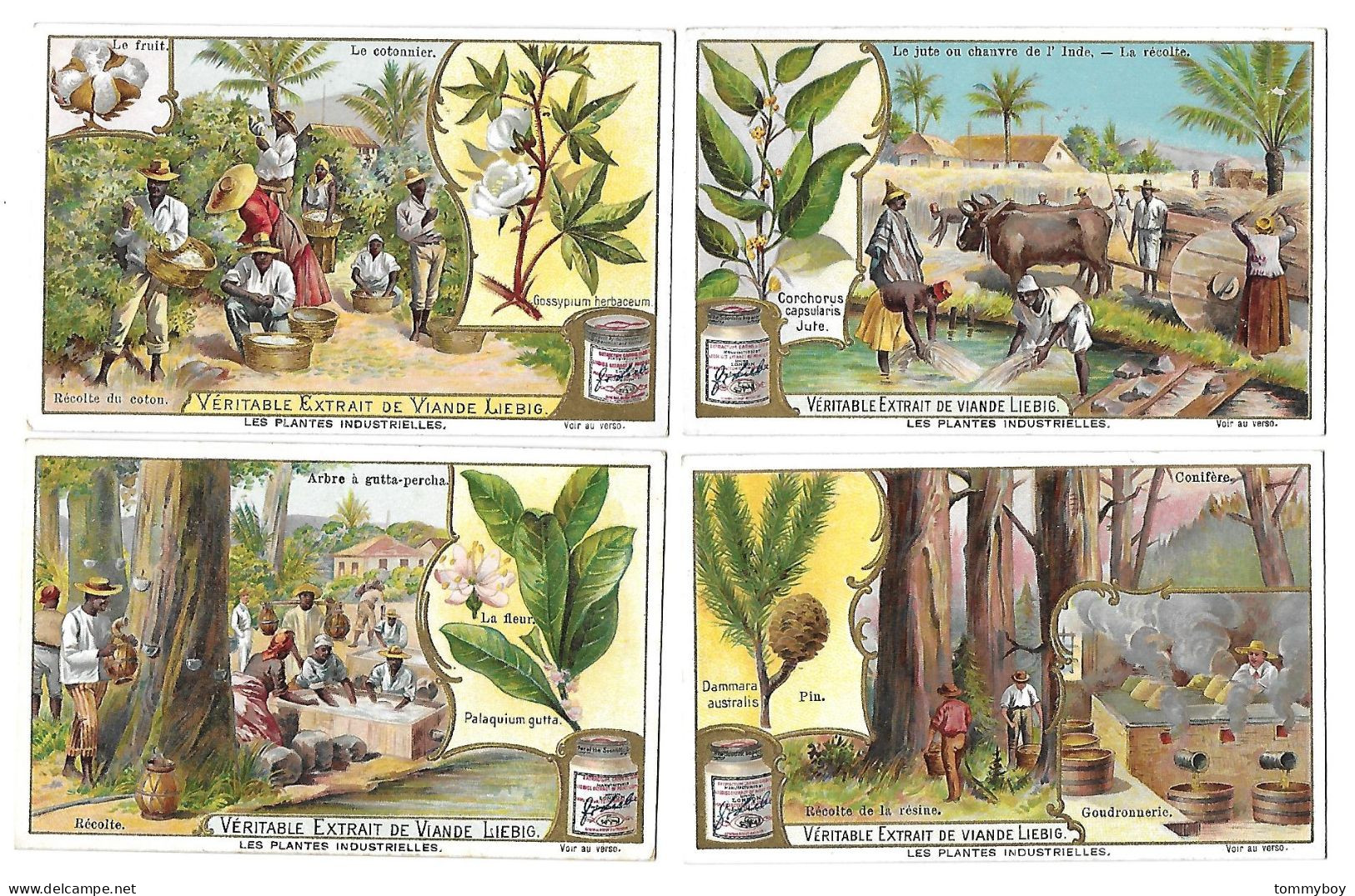 S 707, Liebig 6 Cards, Les Plantes Industrielles (some Spots) (ref B17) - Liebig