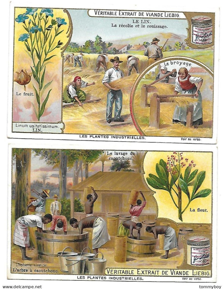 S 707, Liebig 6 Cards, Les Plantes Industrielles (some Spots) (ref B17) - Liebig