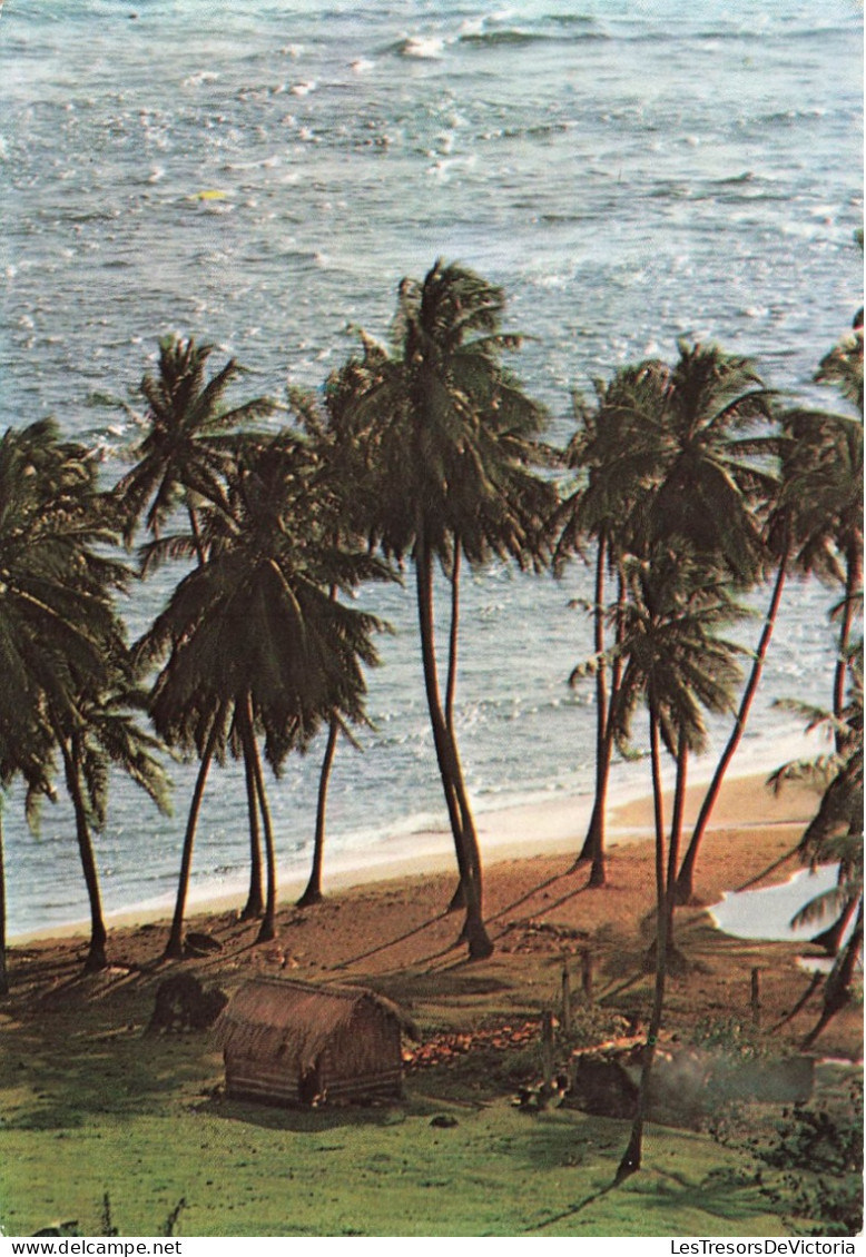 FRANCE - Martinique - Sainte Marie - Un Coin De Plage à L'Anse Azerot - La Mer - Palmier - Plage - Carte Postale - Autres & Non Classés