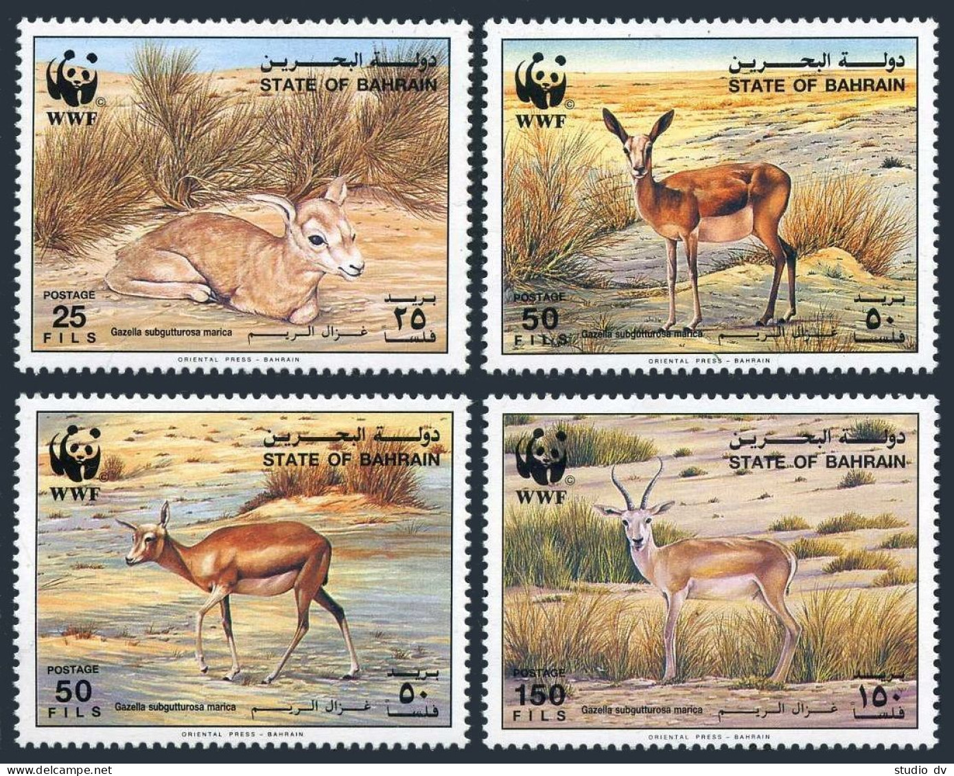 Bahrain 408-411, MNH. Michel 511-514. WWF 1993. Gazella Subgutturosa Marica. - Bahrain (1965-...)