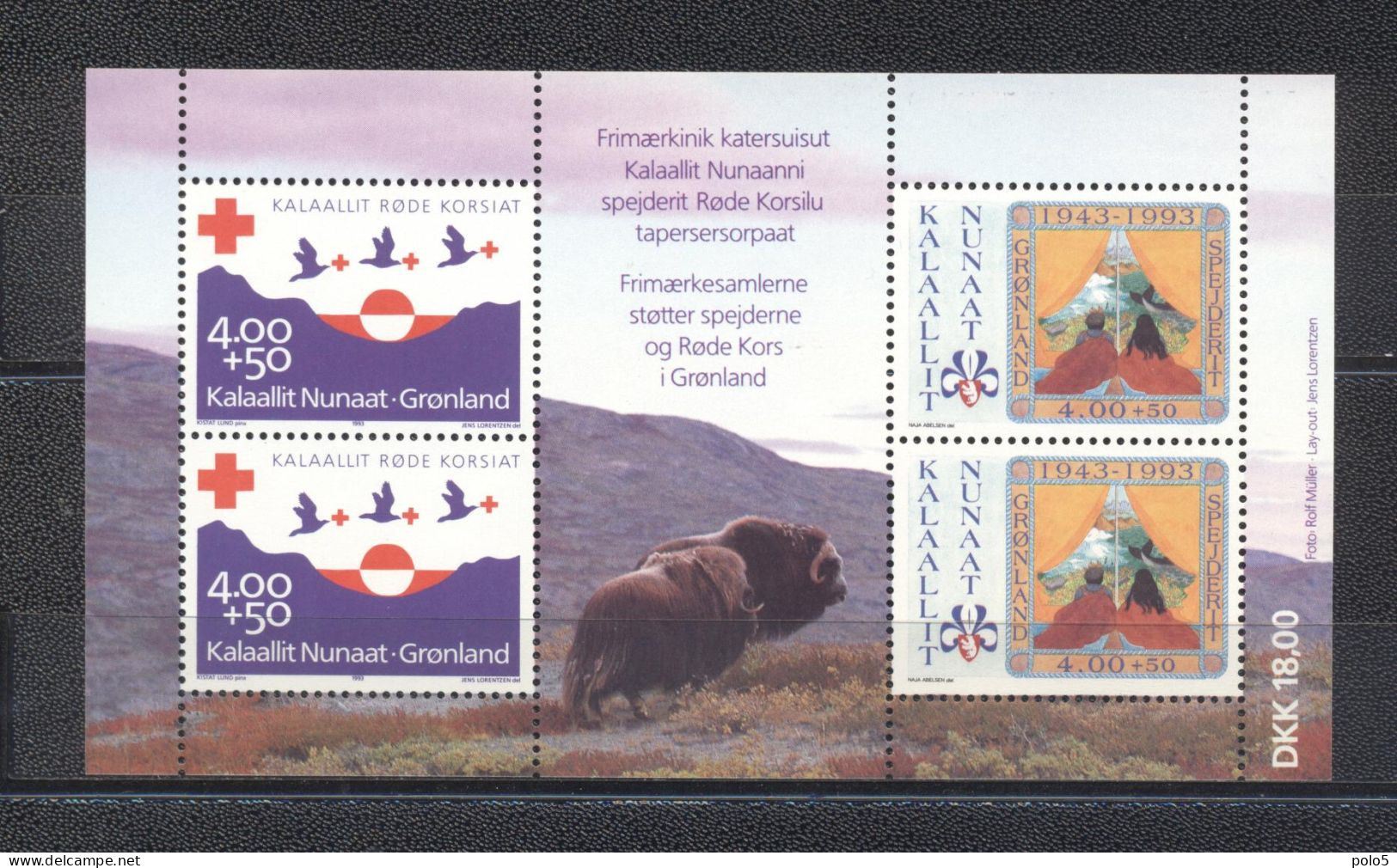 Groenland 1993- Red Cross & The 50th Anniversary Of The Greenland Scouts M/Sheet - Nuovi