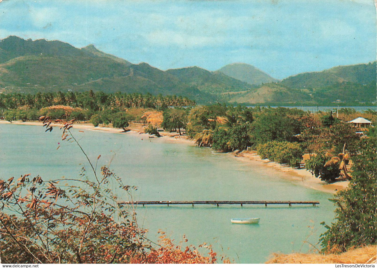 FRANCE - Martinique - Sainte Anne - Vue Générale De La Plage - Barque - La Mer - Carte Postale - Andere & Zonder Classificatie