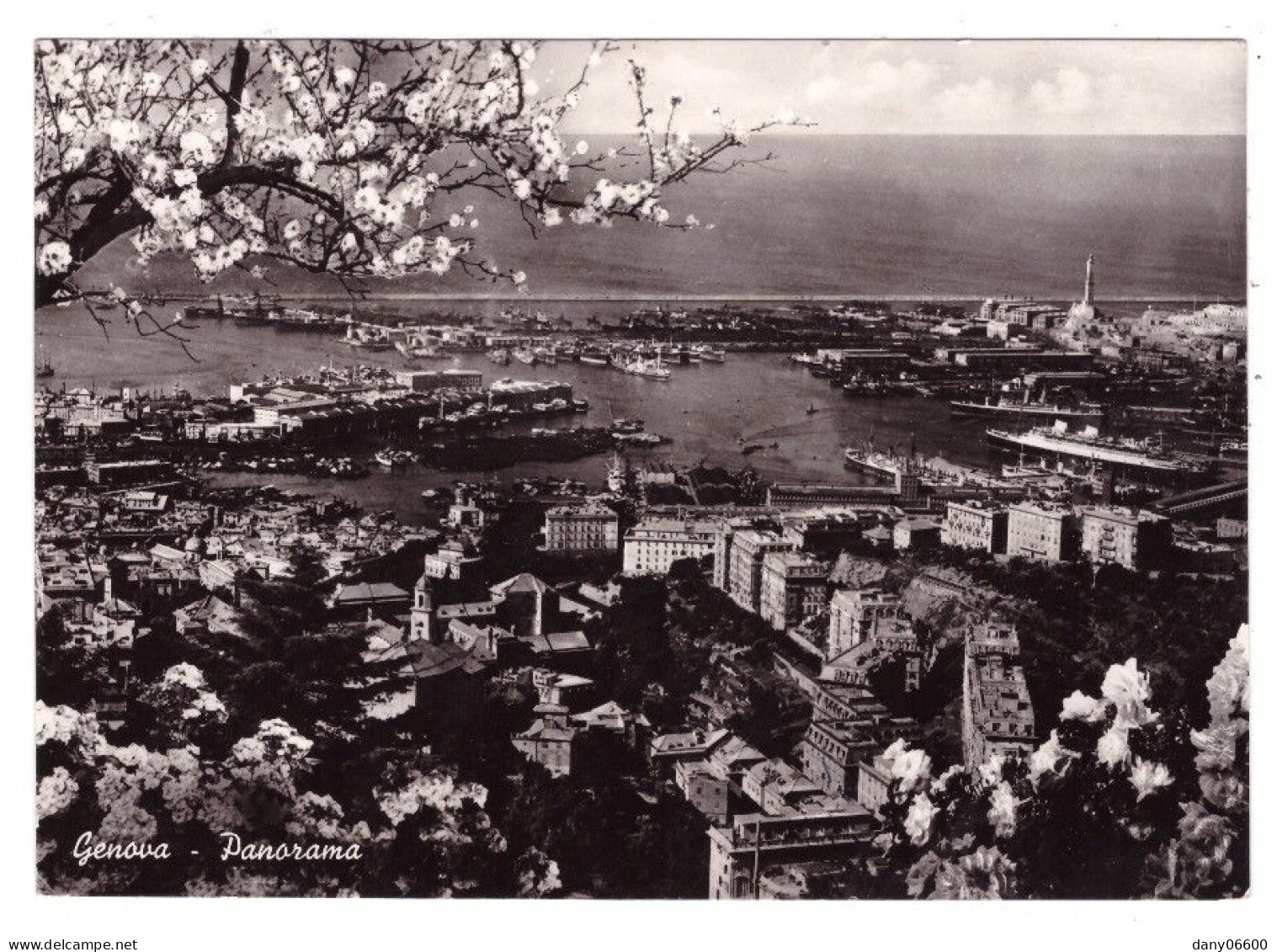 GENOVA  (carte Photo) - Genova