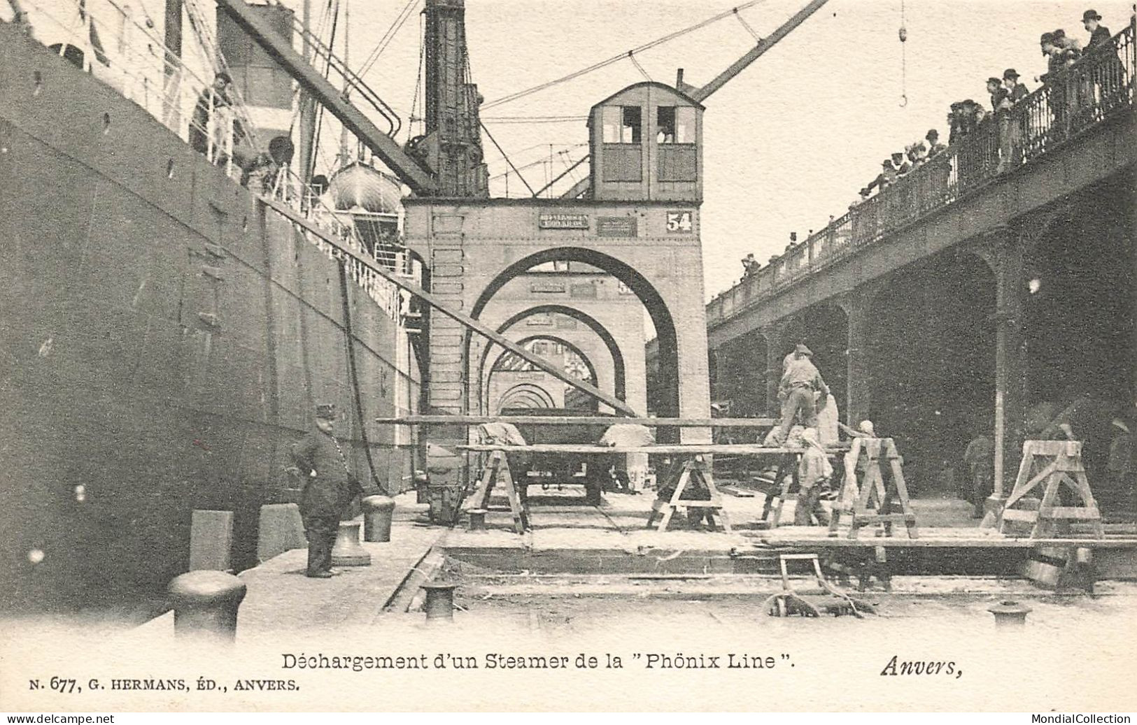 MIKIBP12-029- BELGIQUE ANVERS DECHARGEMENT D UN STEAMER DE LA PHONIX LINE - Autres & Non Classés