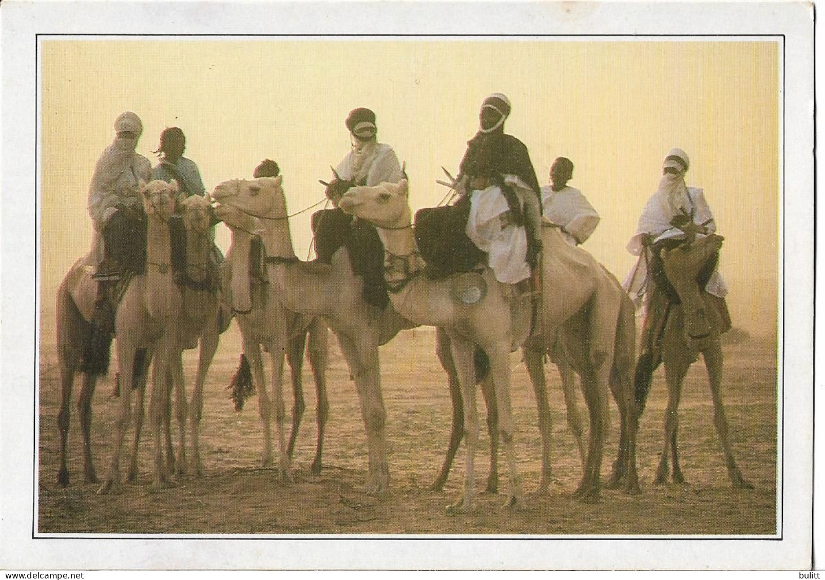 NIGER - TEGUIDDA N'TESSOUMT  - La Cure Salée - Niger