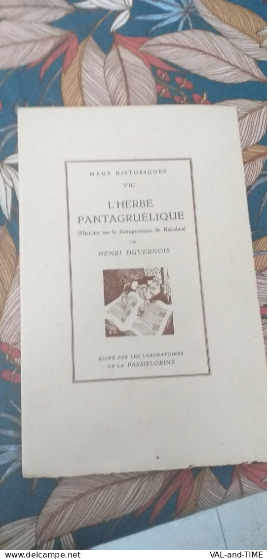6 Plaquettes Humoristiques " Maux Historiques " édités Par Les Laboratoires De La Passiflorine , Années 1930 - Collezioni