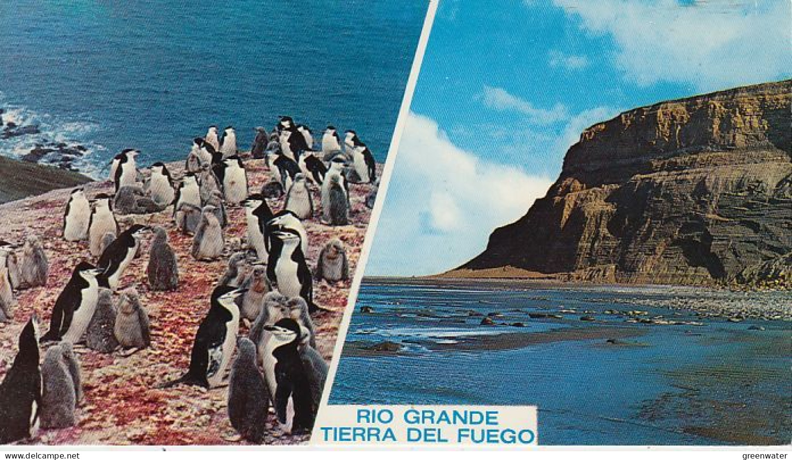 Argentina Postcard Rio Grande Terra Del Fuego Unused (59789) - Argentinien