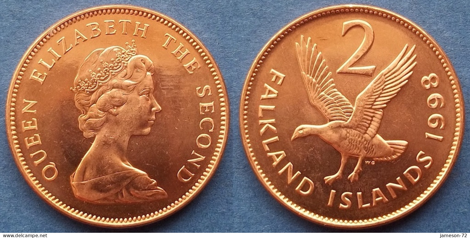 FALKLAND - 2 Pence 1998 "Upland Goose" KM# 3a British Colony Elizabeth II Decimal Coinage (1971-2022) - Edelweiss Coins - Falklandinseln