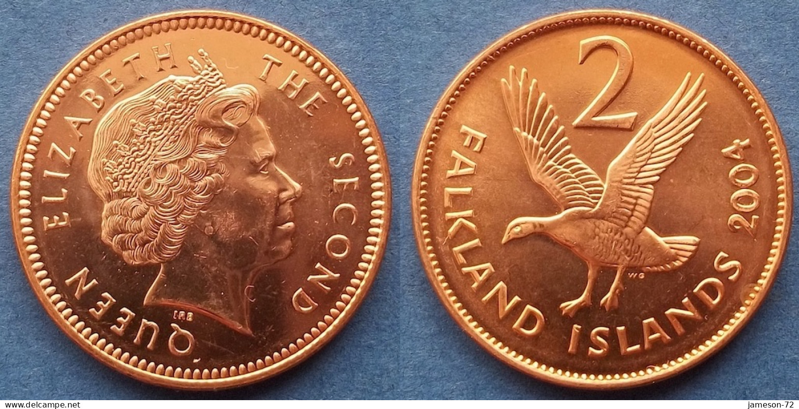 FALKLAND - 2 Pence 2004 "Upland Goose" KM# 131 British Colony Elizabeth II Decimal Coinage (1971-2022) - Edelweiss Coins - Falkland
