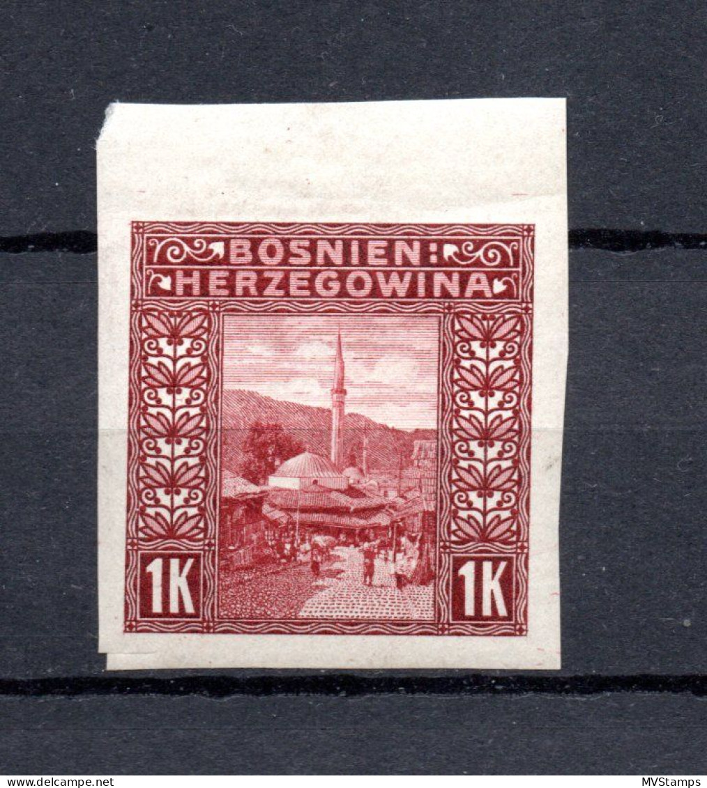 Bosnia Herzegowina 1906 Old IMPERVED Definitive Stamp (Michel 42 U) MLH - Bosnien-Herzegowina