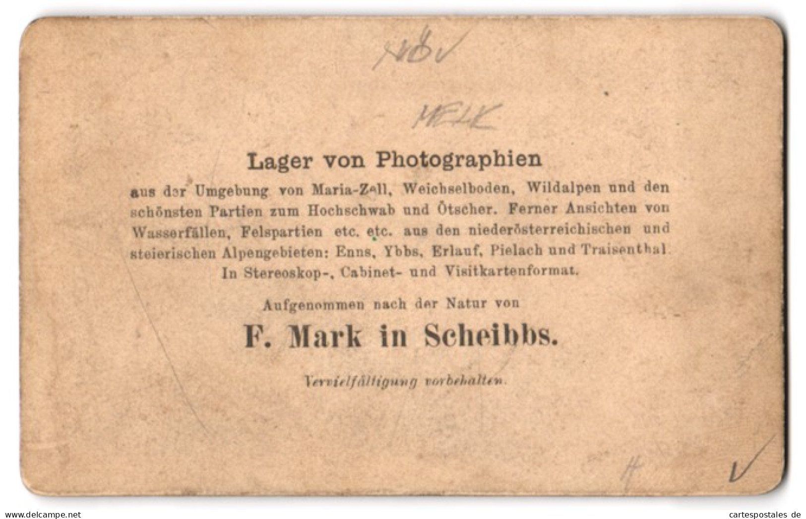 Fotografie F. Mark, Scheibbs, Ansicht Melk, Blick Auf Das Portal Des Stift  - Places