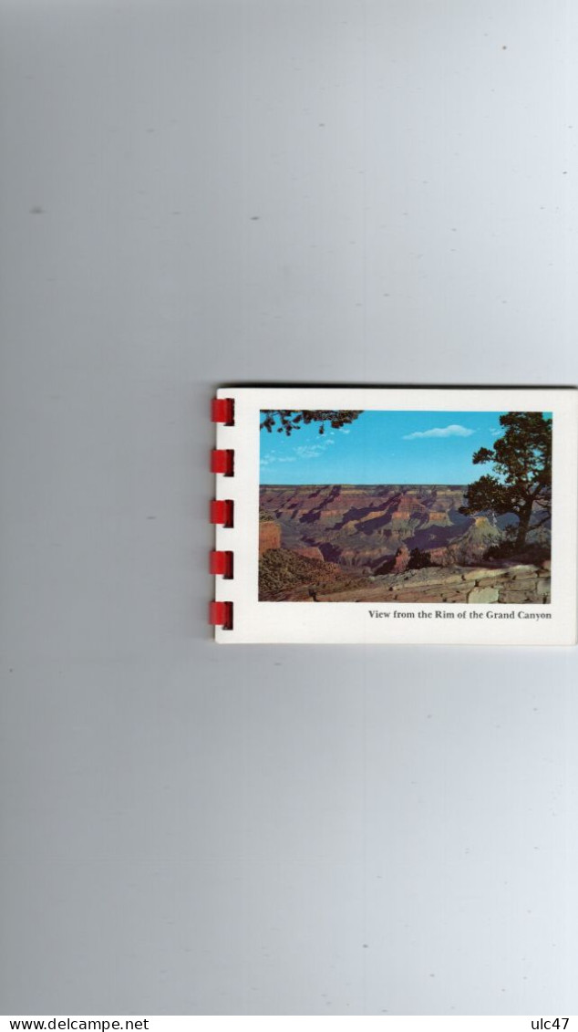 - Grand Canyon  NATIONAL PARK - Carnet De 10 Petites Photos  - MIKE ROBERTS., BERKELEY.- Toutes Scannées - - Gran Cañon