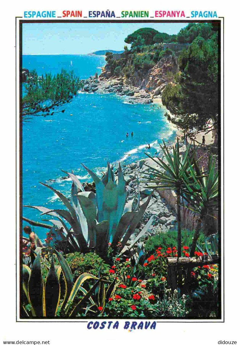 Espagne - Espana - Cataluna - Costa Brava - CPM - Voir Scans Recto-Verso - Gerona