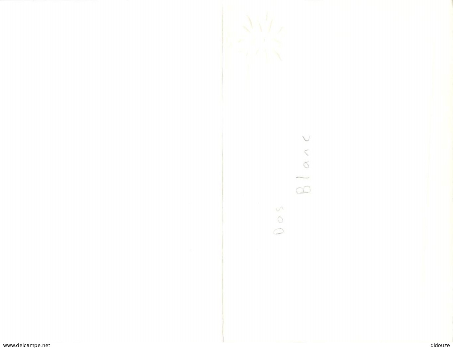 Format Spécial - 175 X 115 Mms Repliée - Animaux - Chevaux - Chevaux Au Galop - Carte Anniversaire - Carte Neuve - Frais - Caballos