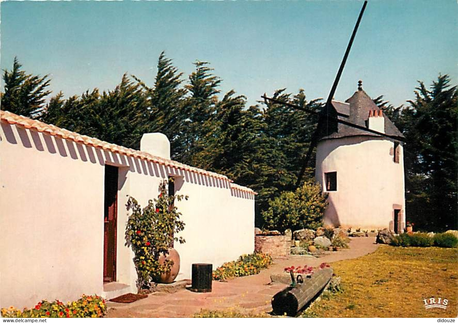 85 - Ile D'Yeu - Le Moulin Du Calvaire - Fleurs - Carte Neuve - CPM - Voir Scans Recto-Verso - Ile D'Yeu