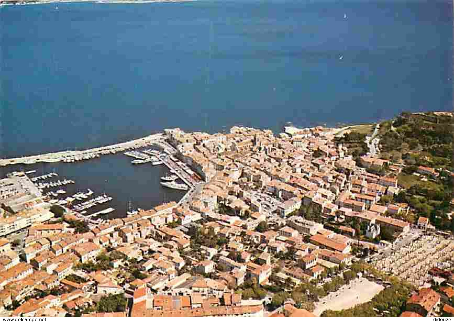 83 - Saint Tropez - Carte Neuve - CPM - Voir Scans Recto-Verso - Saint-Tropez