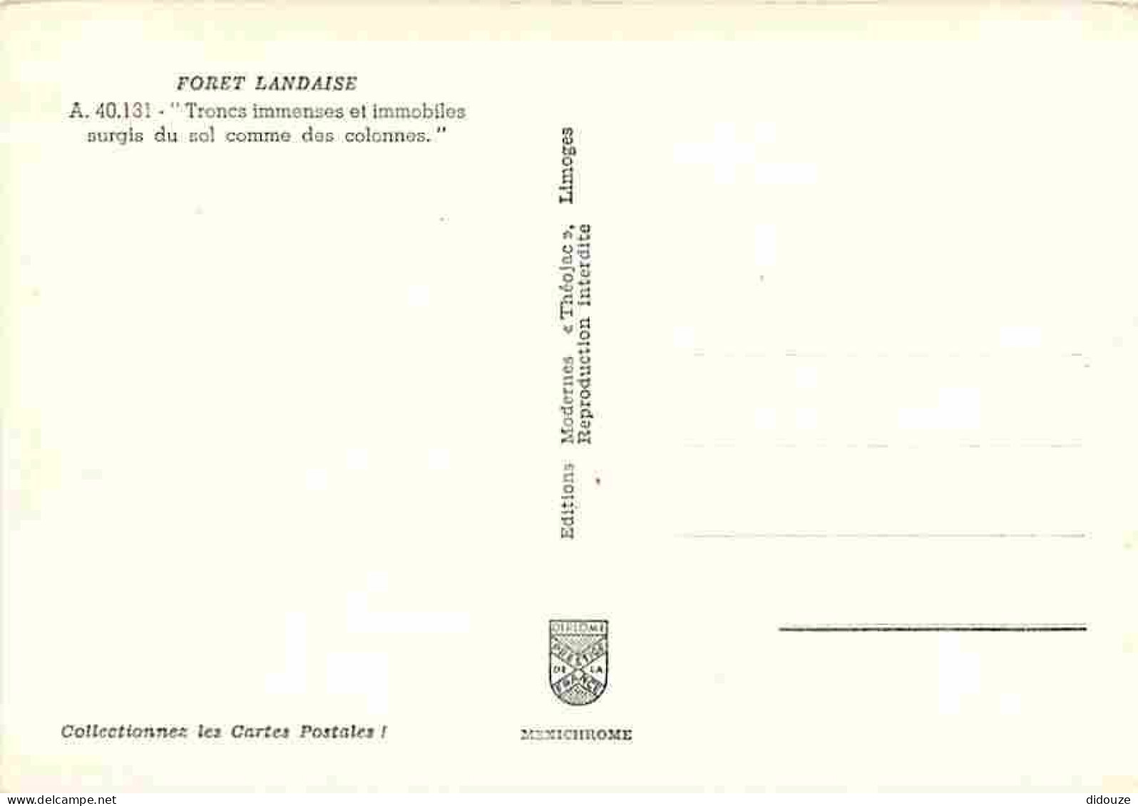 40 - Landes - Foret Landaise - CPM - Voir Scans Recto-Verso - Sonstige & Ohne Zuordnung