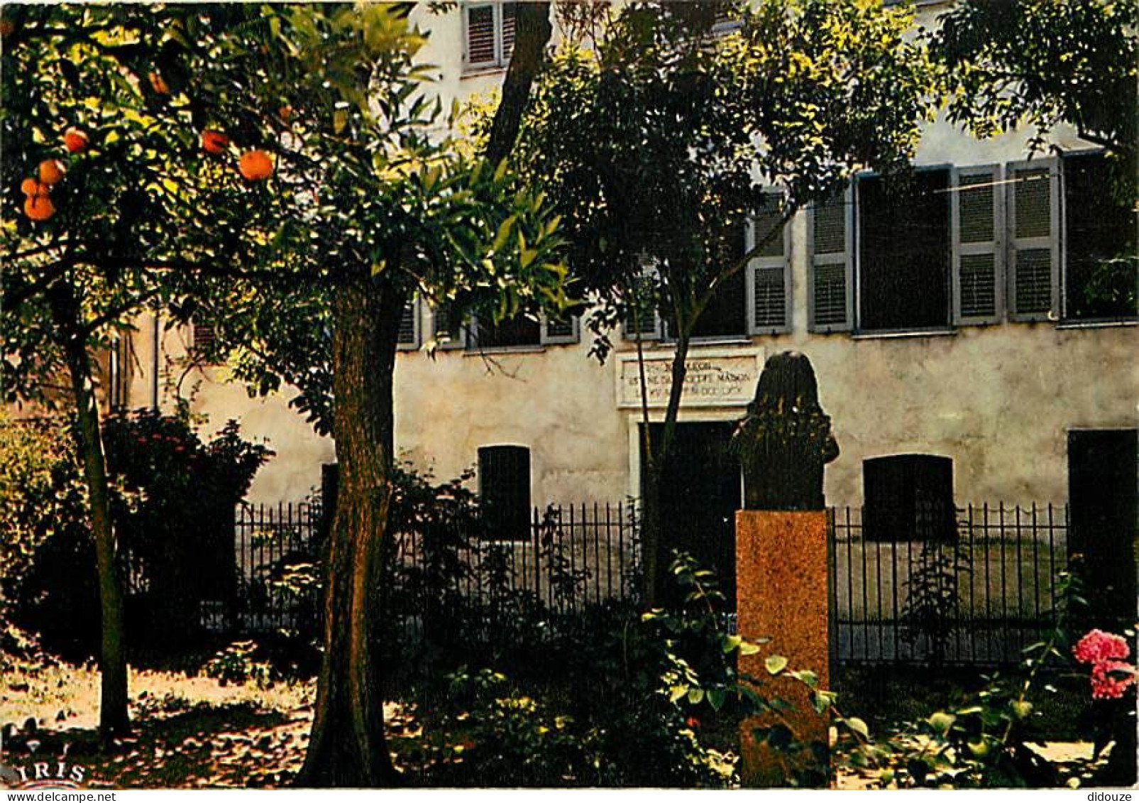 20 - Ajaccio - La Maison Natale De Napoléon - CPM - Voir Scans Recto-Verso - Ajaccio