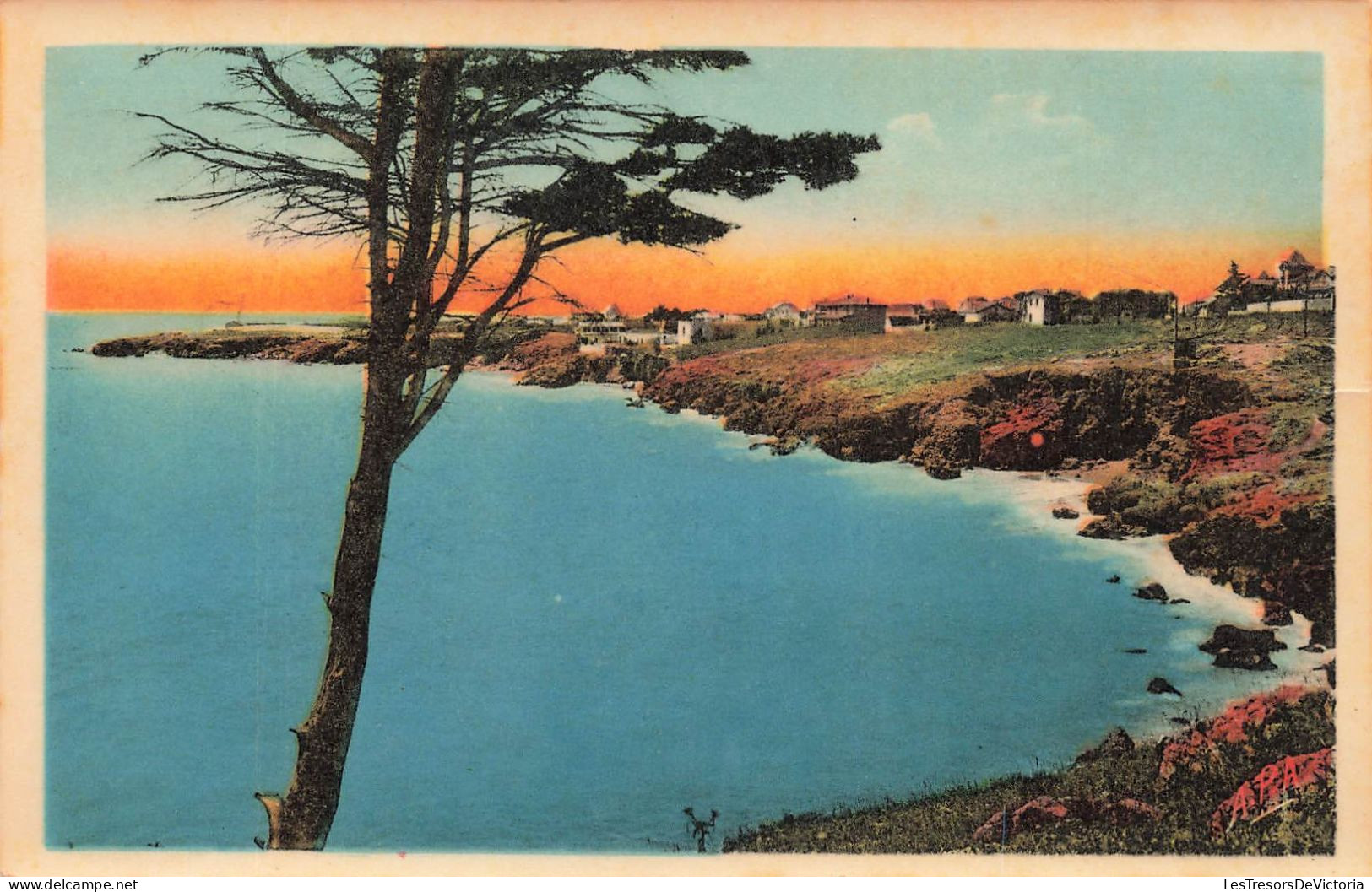 FRANCE - Sète - La Route De La Corniche - Carte Postale Ancienne - Sete (Cette)