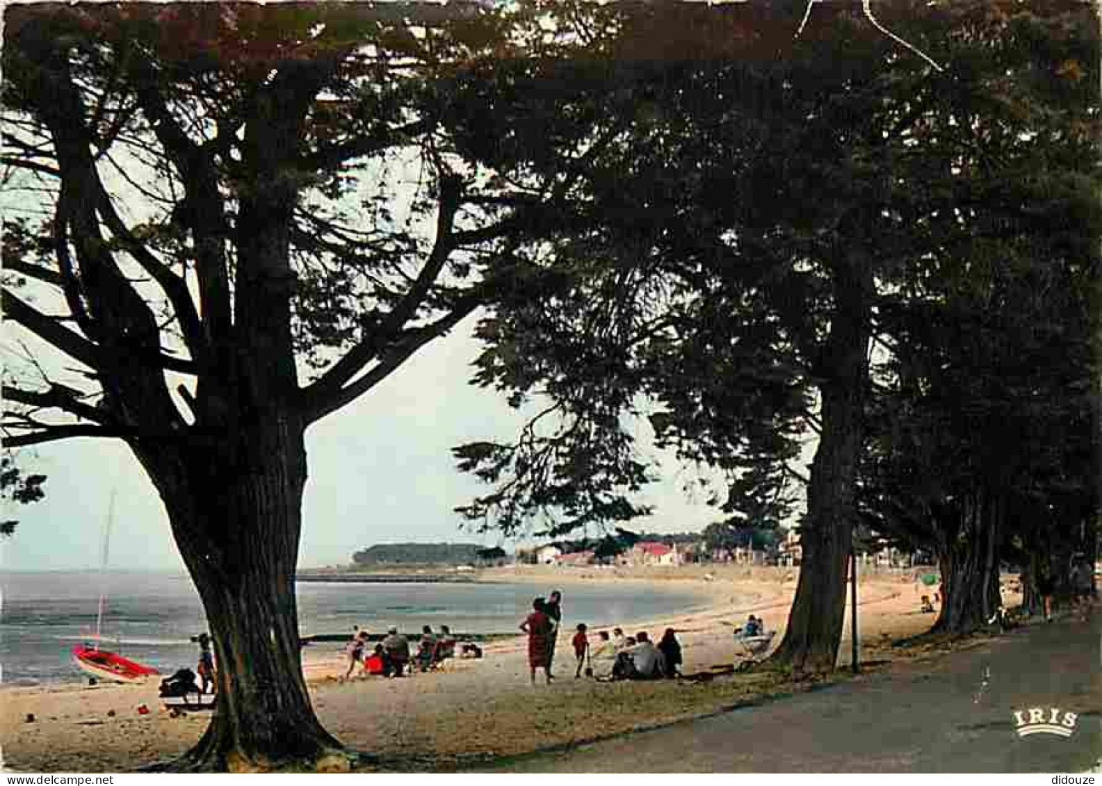 17 - Fouras - La Plage Nord - Scènes De Plage - CPM - Voir Scans Recto-Verso - Fouras-les-Bains