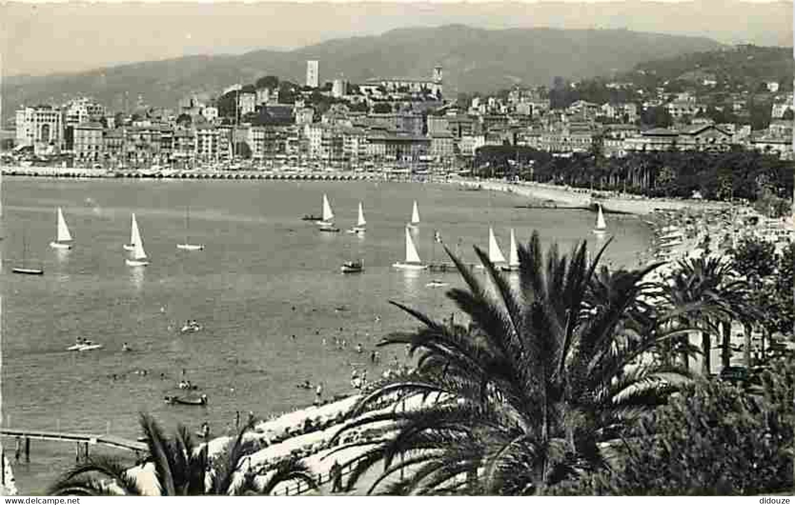 06 - Cannes - Vue Générales - Voiles - CPM - Voir Scans Recto-Verso - Cannes