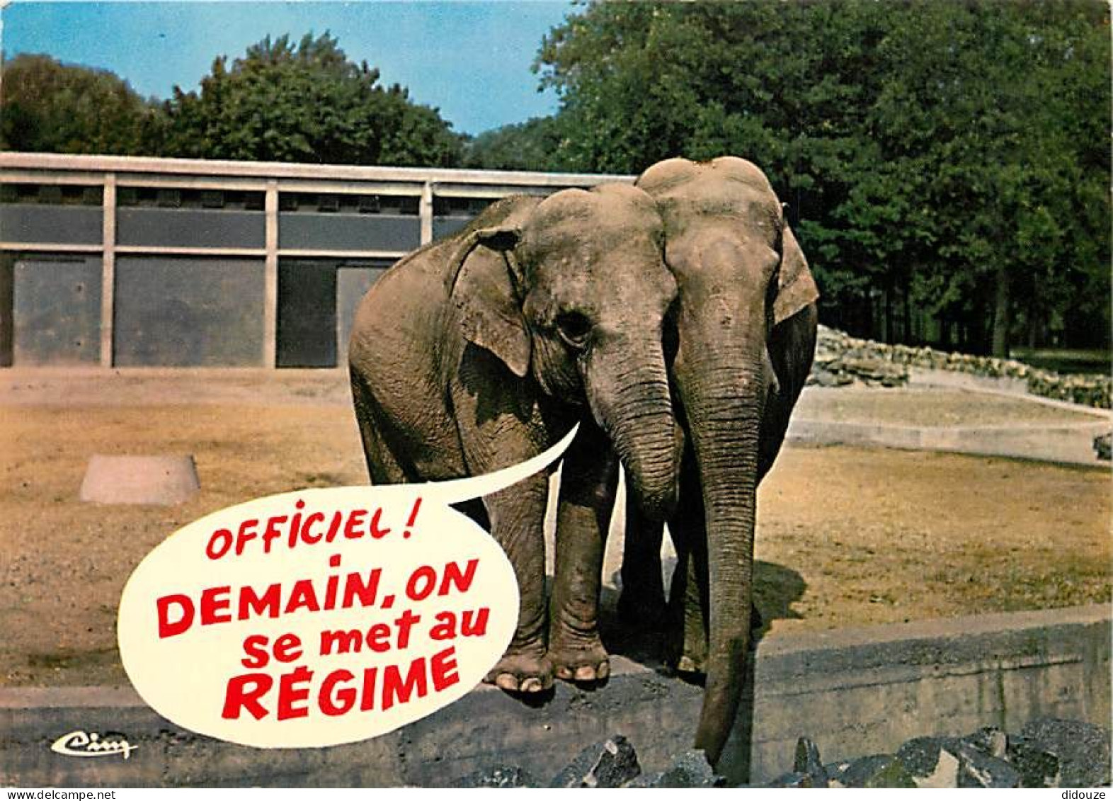 Animaux - Eléphants - Carte Humoristique - CPM - Voir Scans Recto-Verso - Elephants