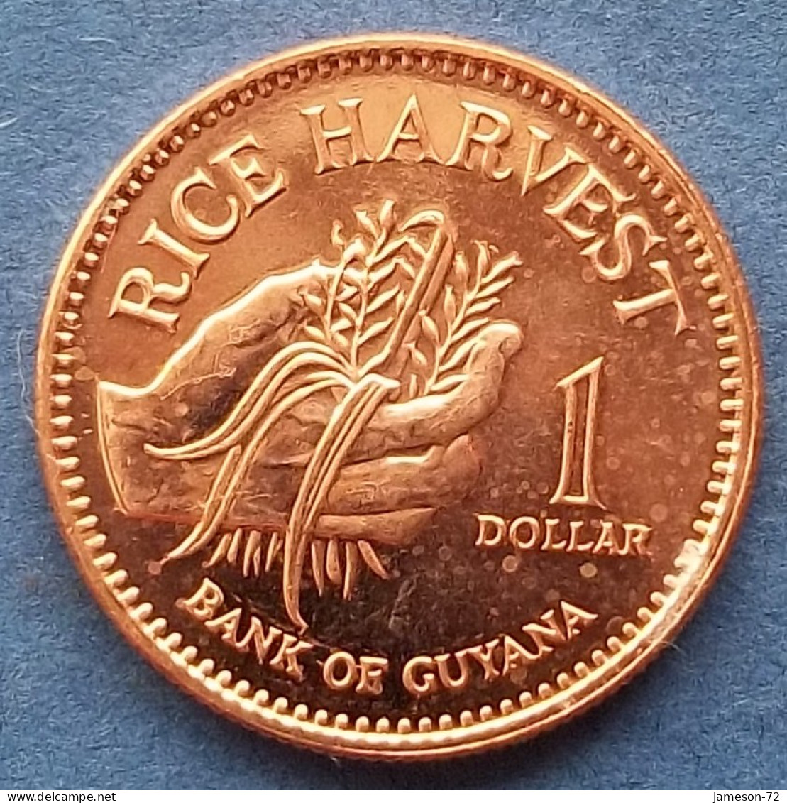 GUYANA - 1 Dollar 2008 "Hand Gathering Rice" KM# 50 Independent Since 1966 - Edelweiss Coins - Guyana