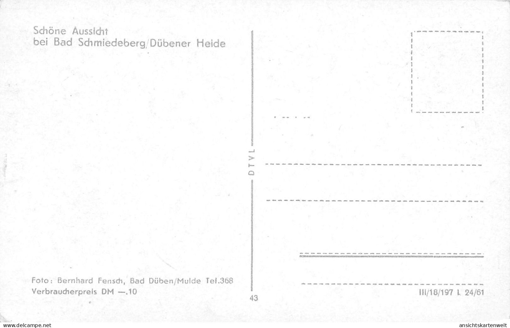 Bad Schmiedeberg/Dübener Heide Schöne Aussicht Ngl #171.866 - Autres & Non Classés