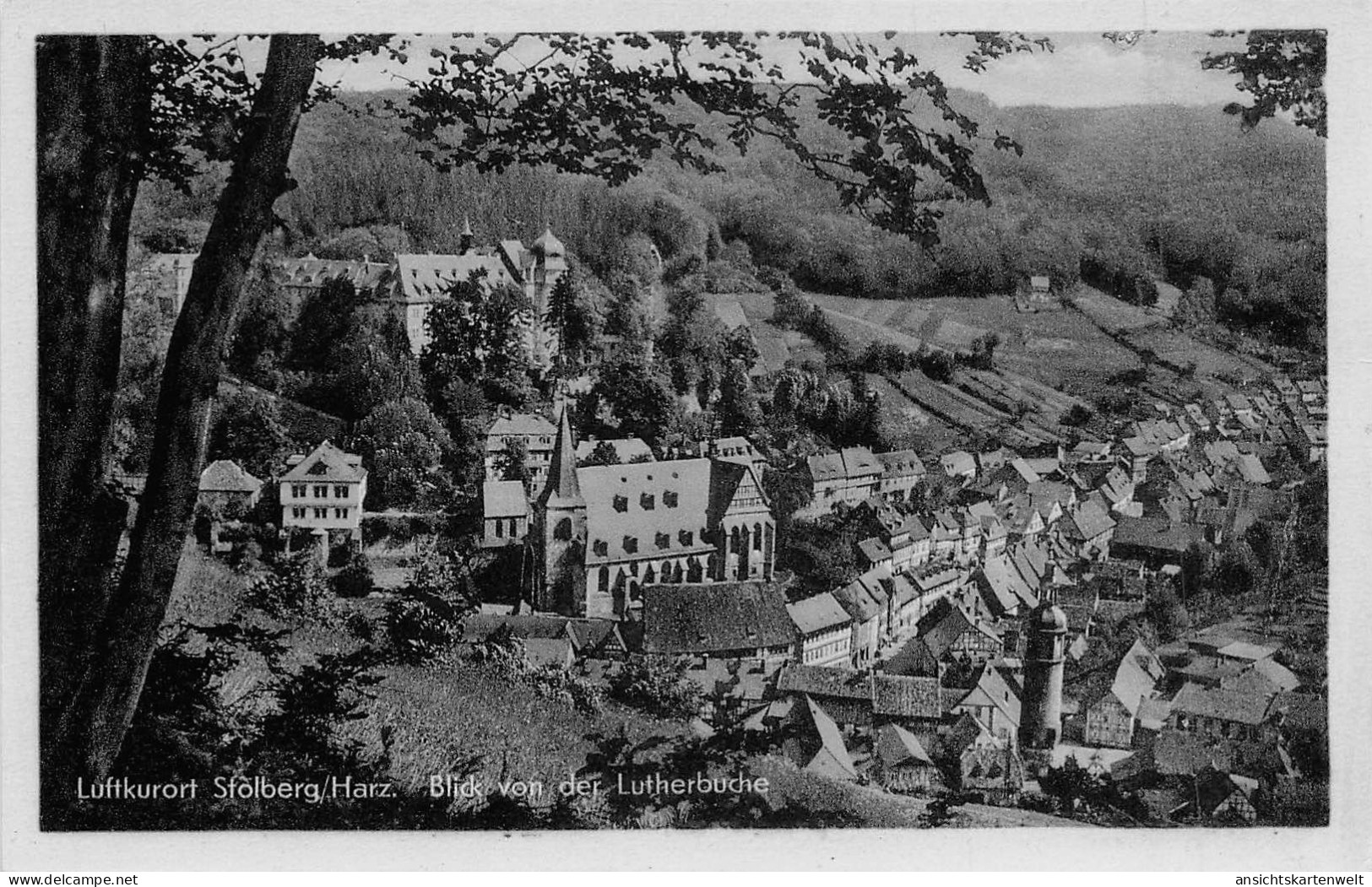 Stolberg/Harz Blick Von Der Lutherbuche Ngl #171.873 - Other & Unclassified