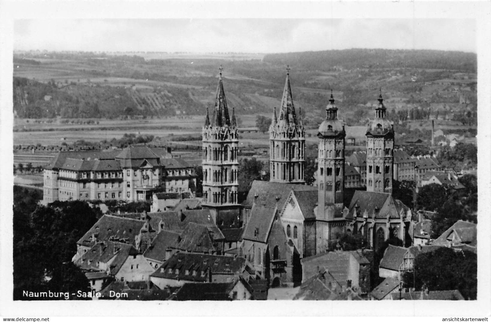 Naumburg (Saale) Dom Und Panorama Ngl #171.896 - Autres & Non Classés