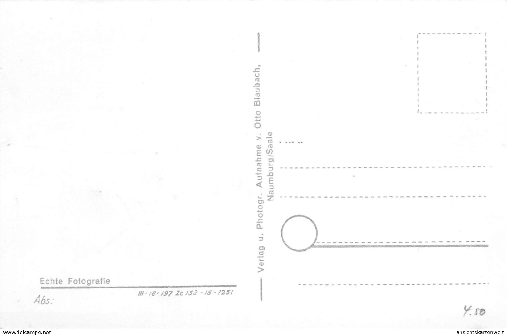 Naumburg (Saale) Dom Und Panorama Ngl #171.896 - Other & Unclassified