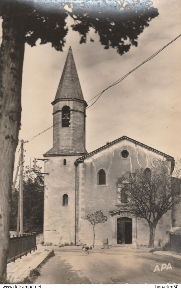 CPSM 84 BOLLENE EGLISE ST PIERRE DE SENOS - Bollene