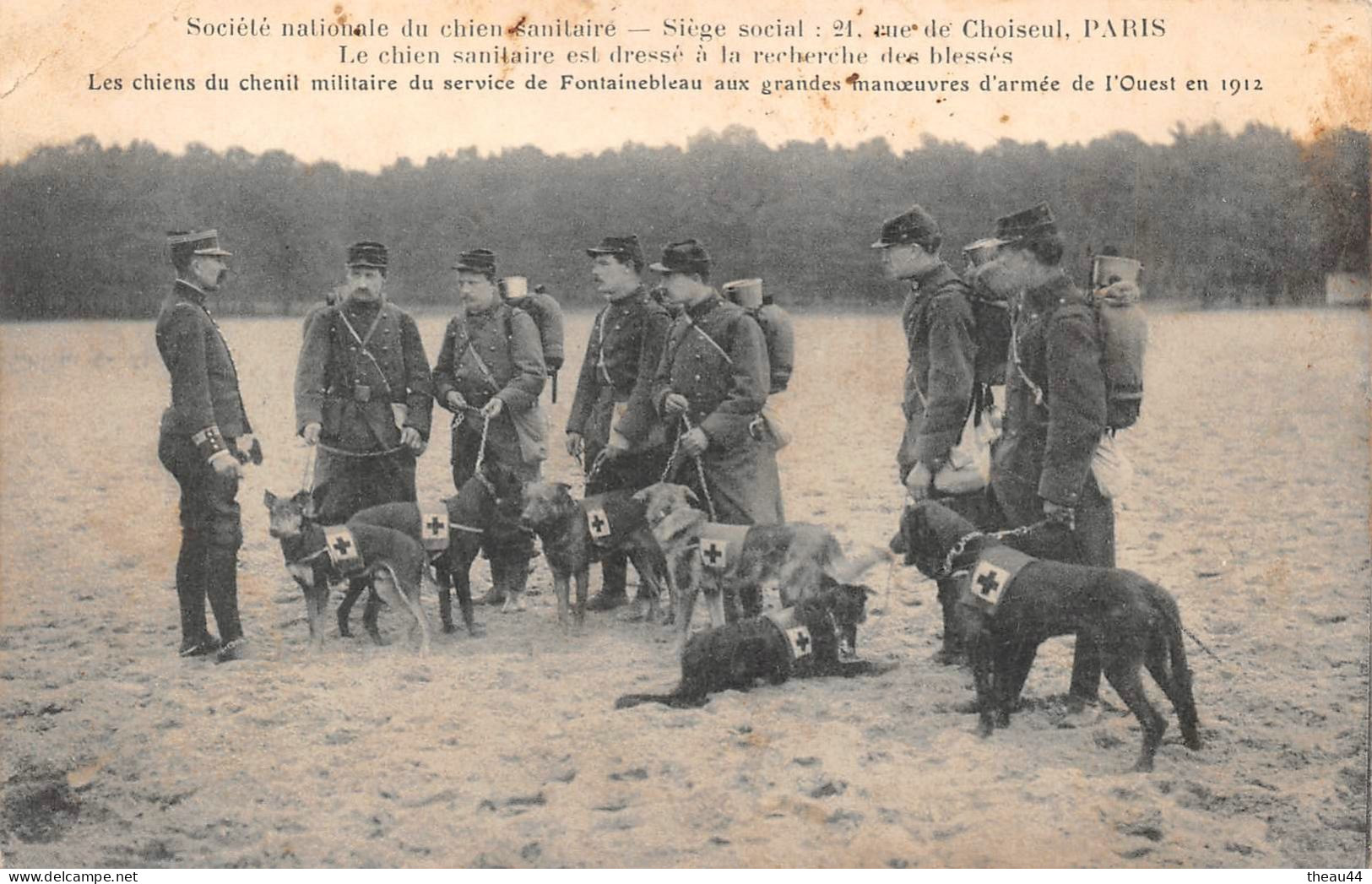 Société Nationale Du Chien Sanitaire - Les Chiens Du Chenil Militaire De FONTAINEBLEAU En Manoeuvres En 1912 - Fontainebleau