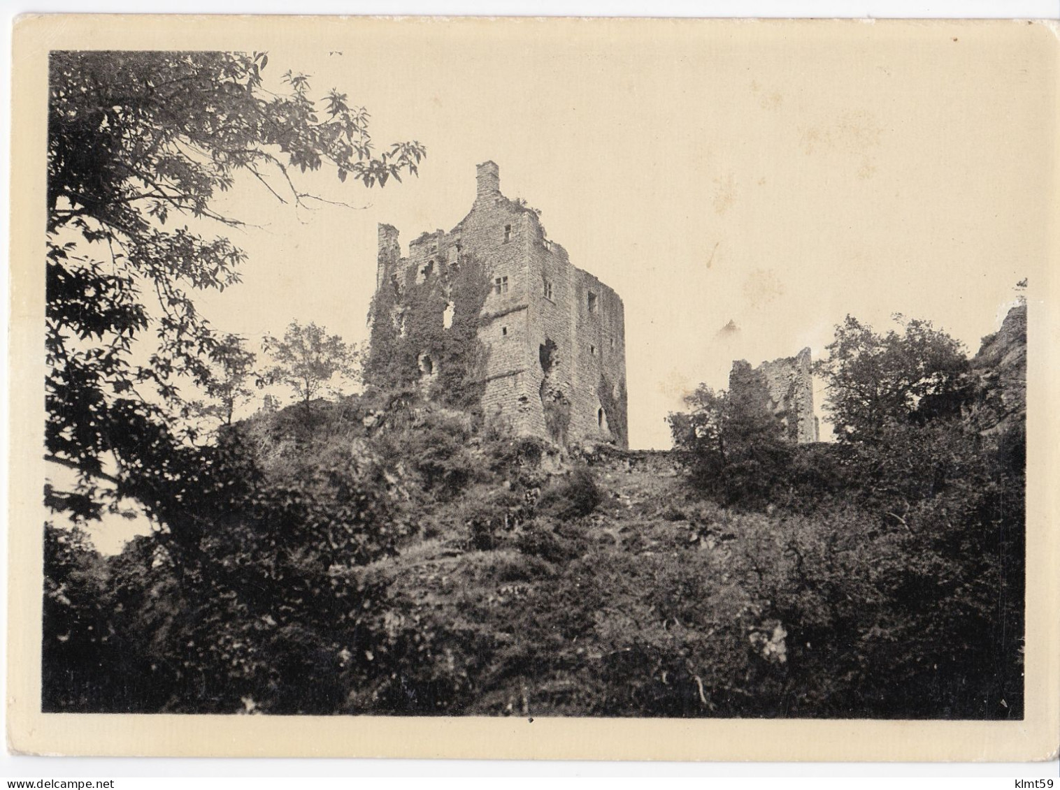 Environs D'Argentat - Ruines Des Tours De Merle - Argentat