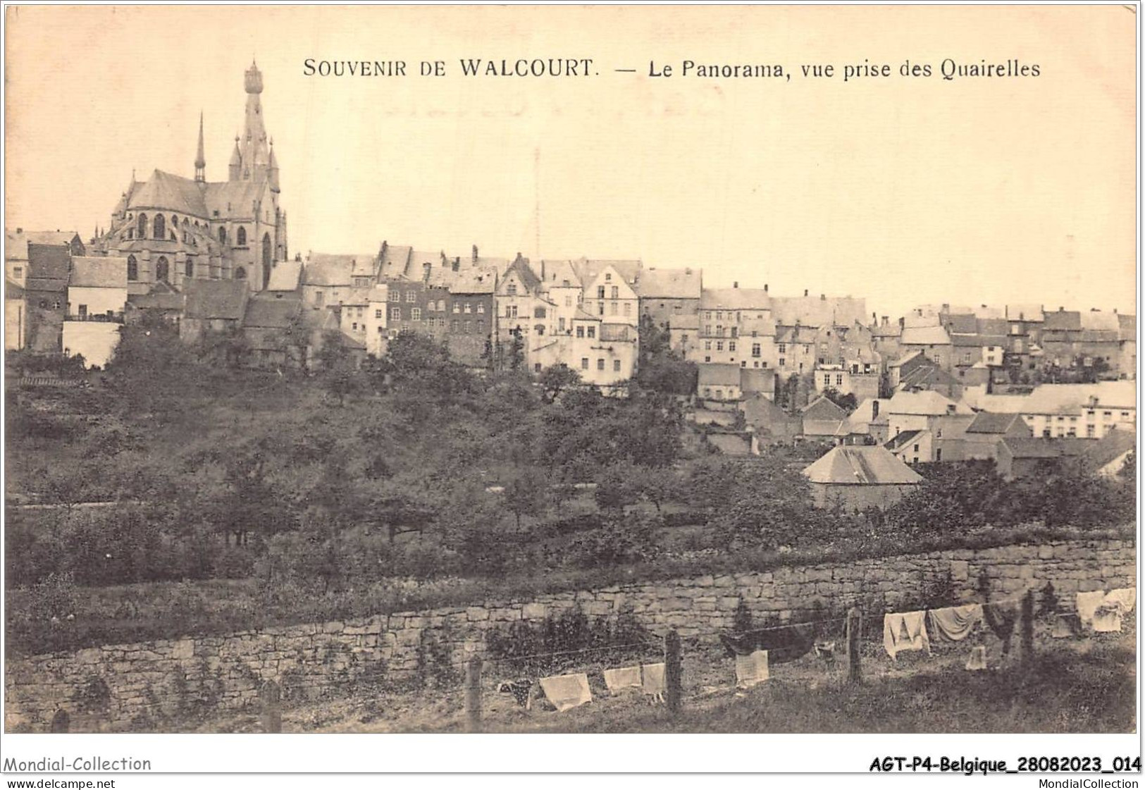 AGTP4-0238-BELGIQUE - WALCOURT - Le Panorama, Vue Prise Des Quairelles  - Walcourt