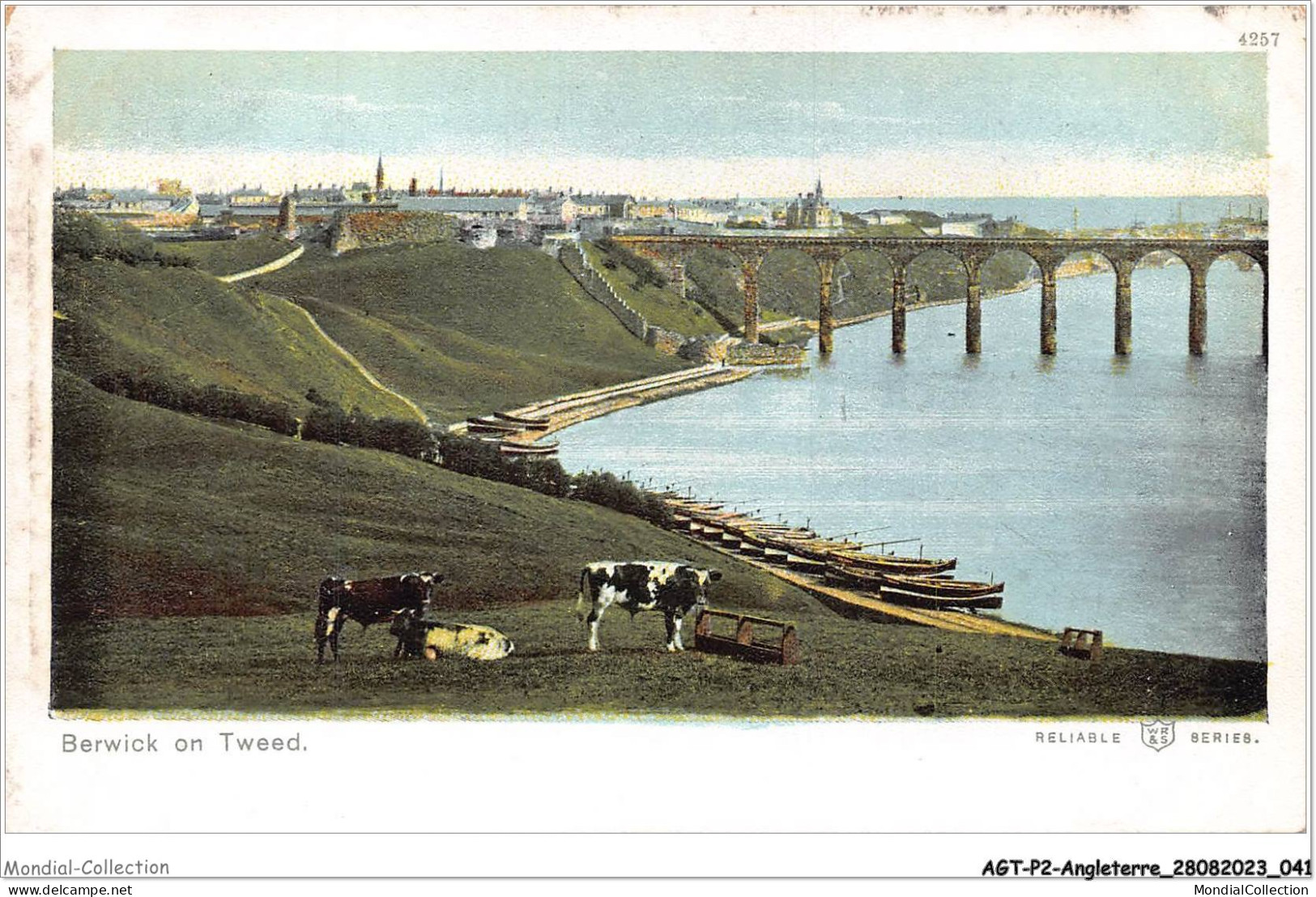 AGTP2-0082-ANGLETERRE - BERWICK - On Tweed  - Other & Unclassified