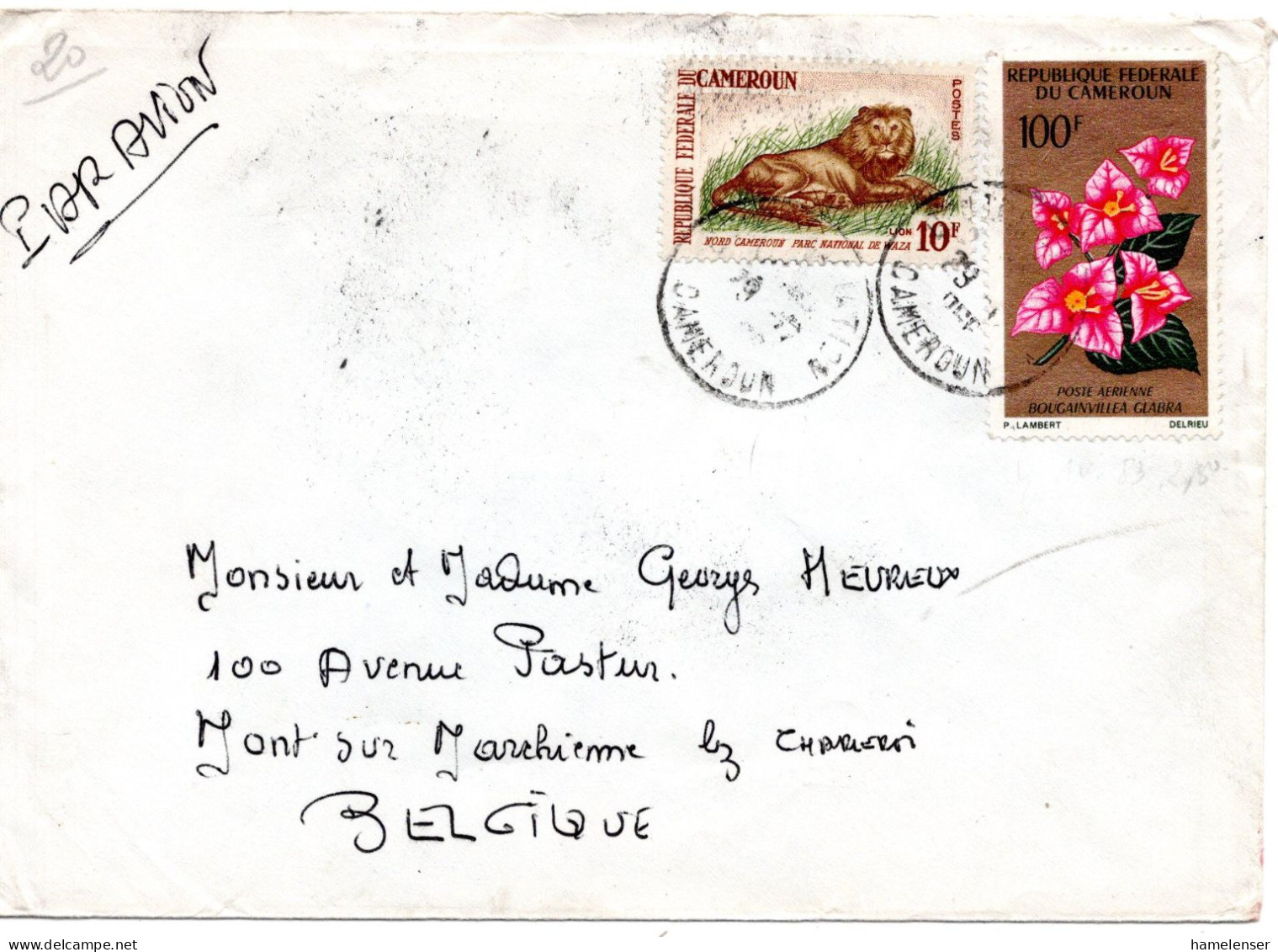 78809 - Kamerun - 1966 - 100F Kahle Drillingsblume MiF A LpBf YAOUNDE -> Belgien - Camerun (1960-...)