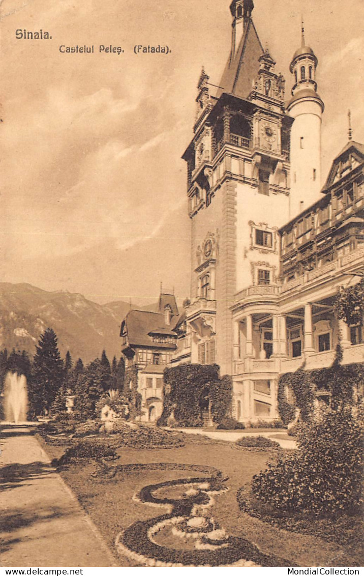 AGTP11-0848-ROUMANIE - SINAIA - Castelul Peles - Rumänien