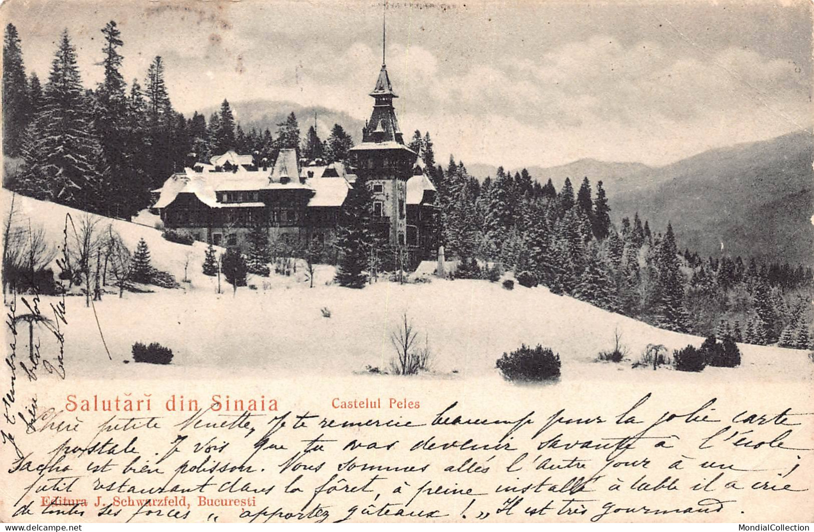 AGTP11-0842-ROUMANIE - SINAIA - Salutari Din Sinaia - Castelul Peles - Rumänien